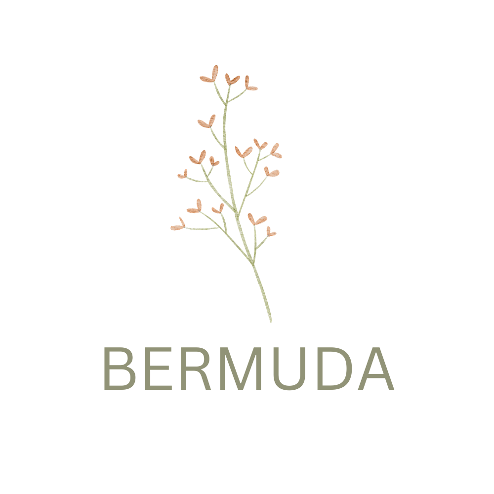coleção bermuda menino bebê e infantil