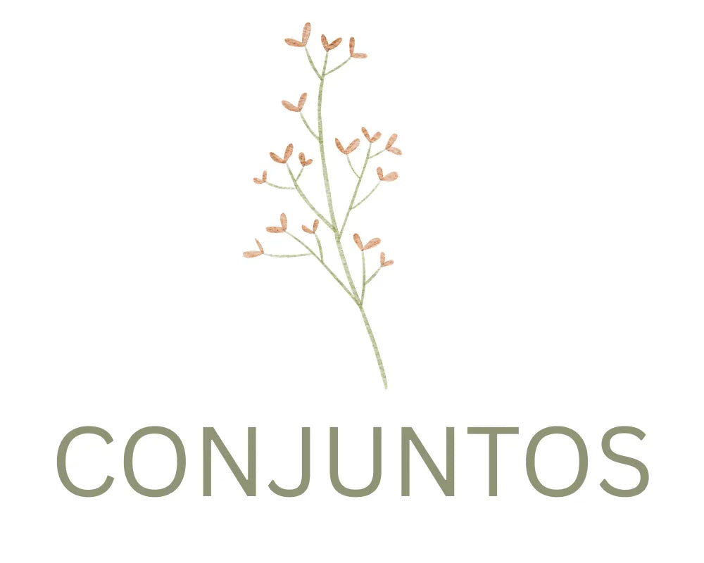 CONJUNTOS RN