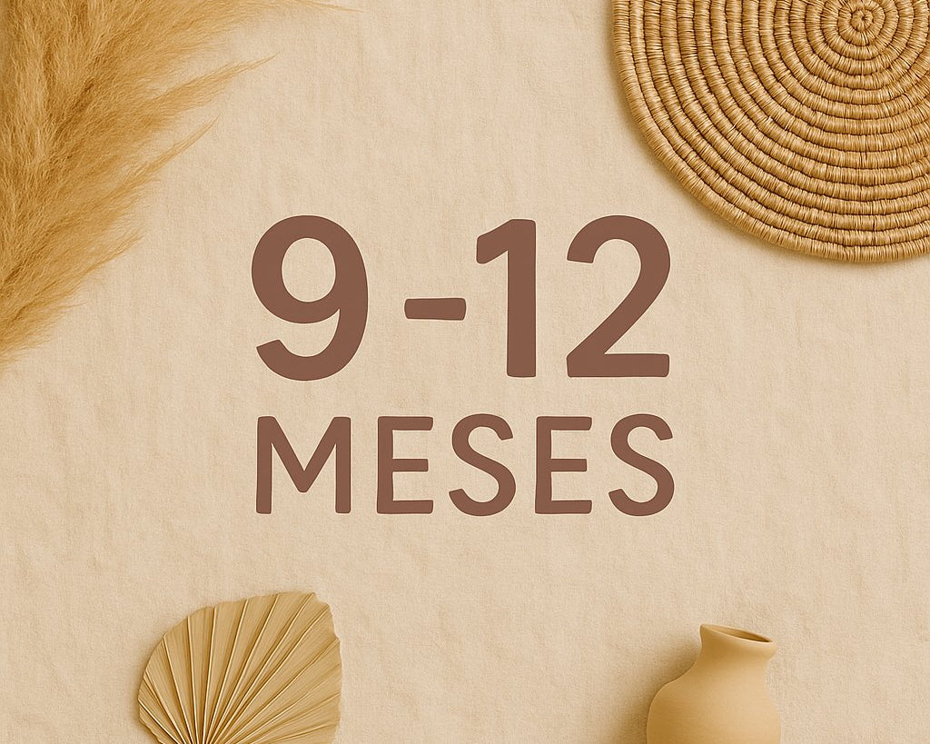 BABY 9-12 MESES