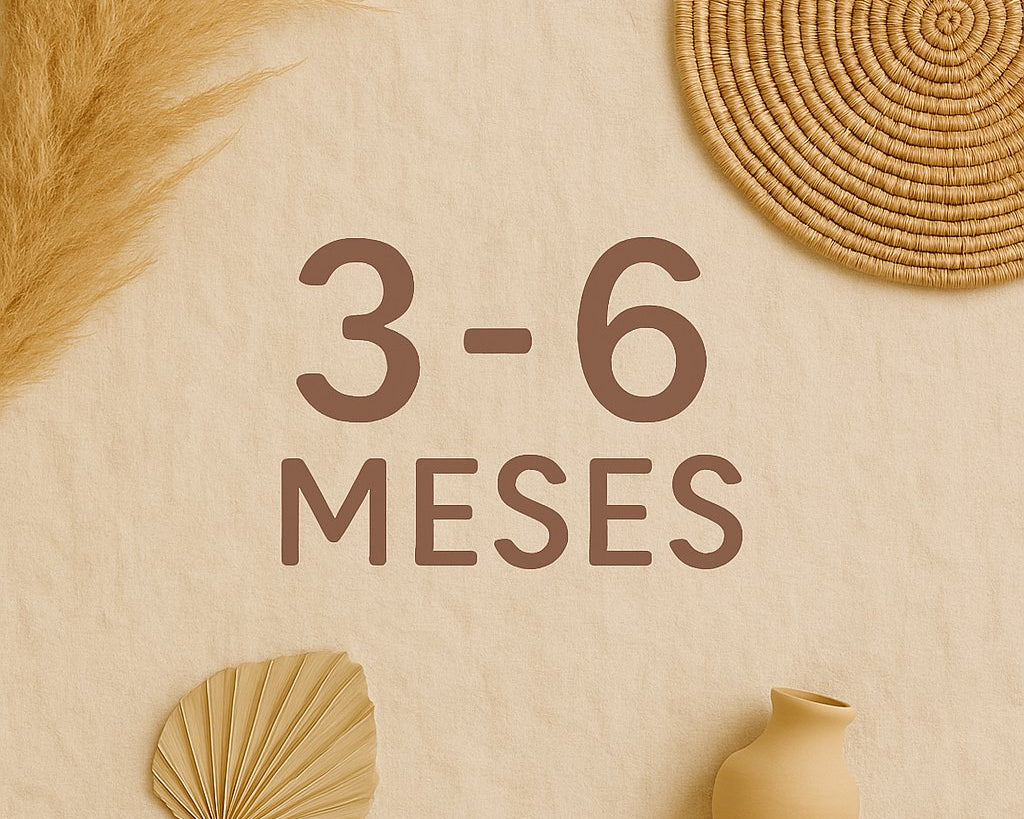 BABY 3-6 MESES